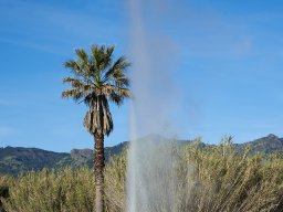 QueenVictoria2015-093